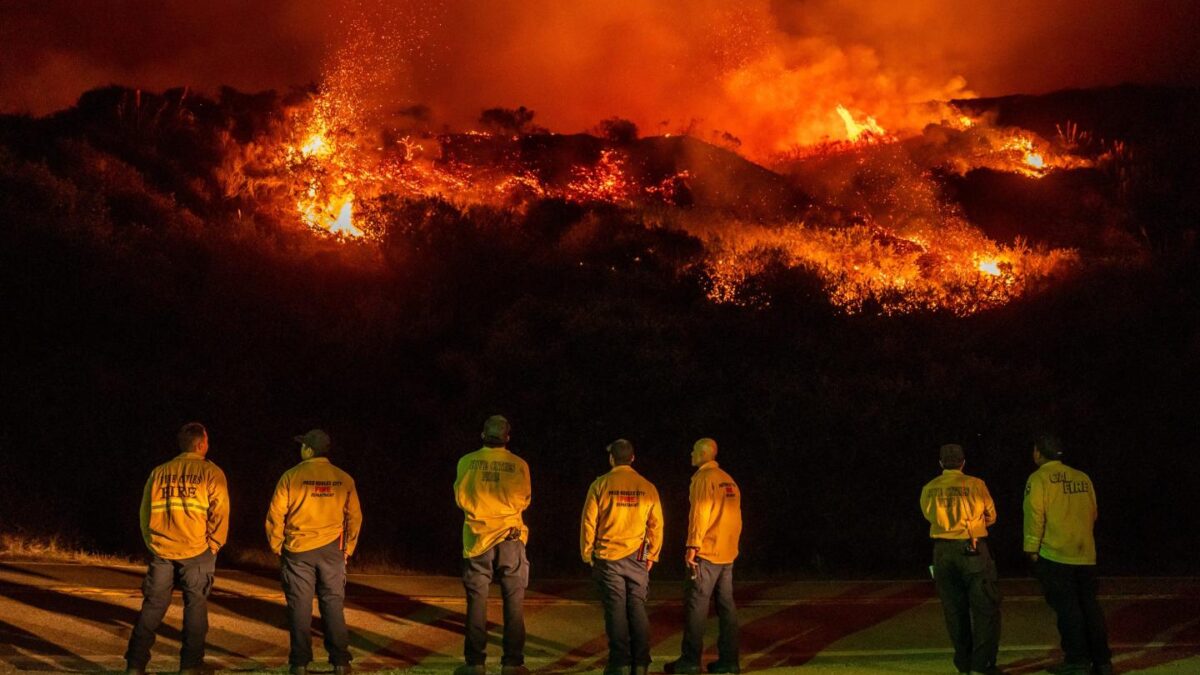 Photo of wildfire